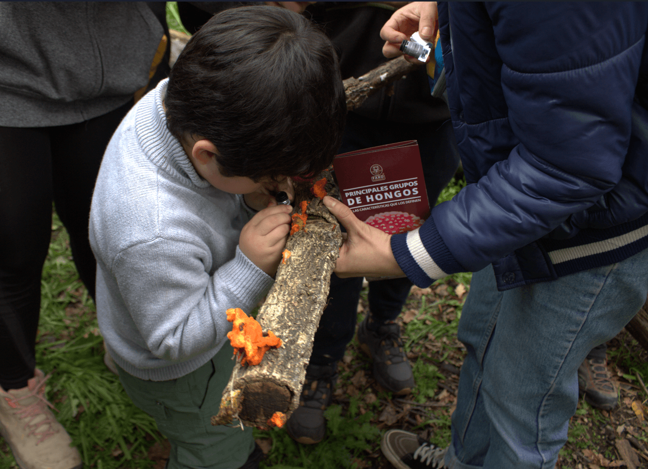 Expedición Cerro Carlos Condell (Curicó)