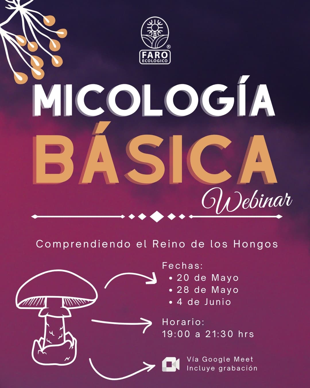 Micología Básica - Webinar
